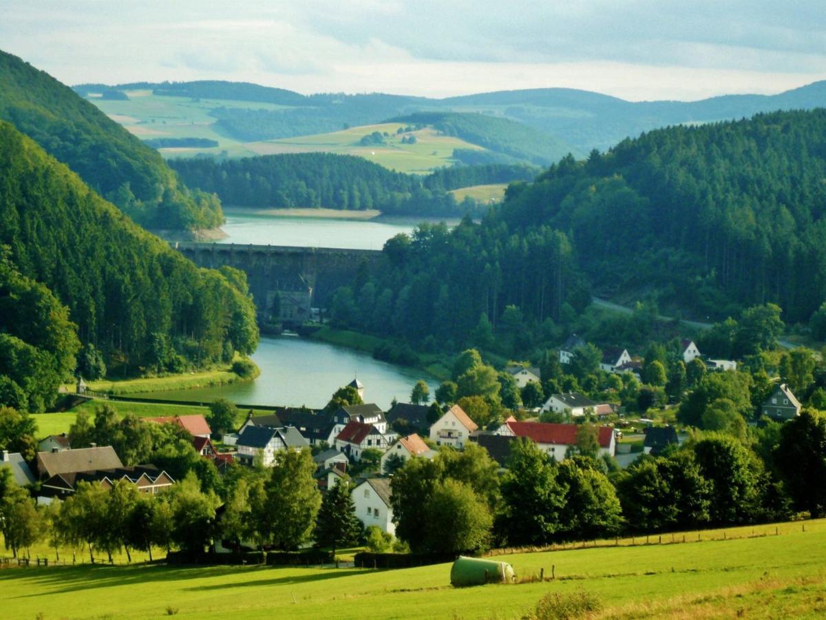 Fewo Blumes Bergfrieden Mit Meinecardplus Willingen  Exteriér fotografie