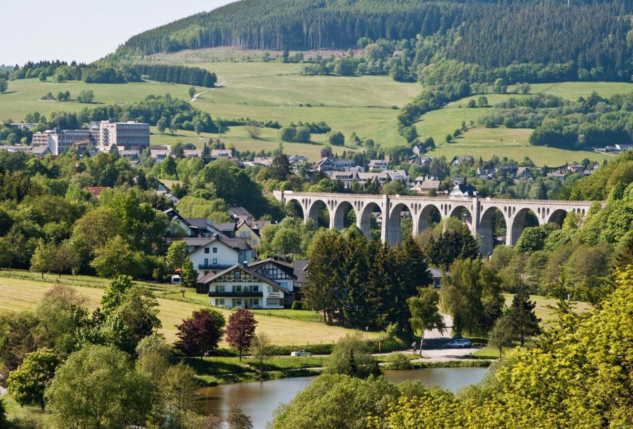 Fewo Blumes Bergfrieden Mit Meinecardplus Willingen  Exteriér fotografie